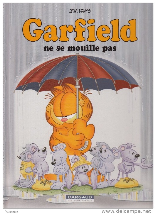 Ne Se Mouille Pas - Garfield