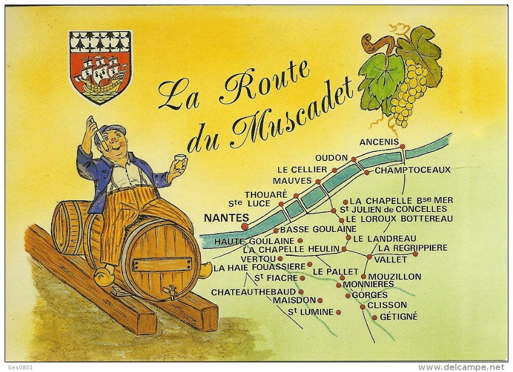 44 Loire Atlantique AU  PAYS NANTAIS La Ronde Du Muscadet  Carte Neuve Voir Le Scan - Andere & Zonder Classificatie