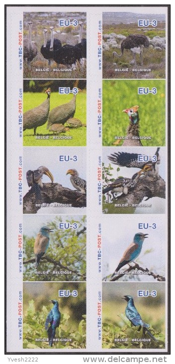 Belgique 2014. Poste Privée TBO. Oiseaux D'Afrique Du Sud (Autruche Calao Kori Pintade) Tarif Pour L'Europe Jusque 100 G - Ostriches