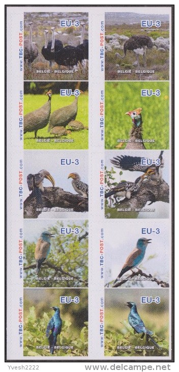 Belgique 2014. Poste Privée TBO. Oiseaux D'Afrique Du Sud (Autruche Calao Kori Pintade) Tarif Pour L'Europe Jusque 100 G - Straussen- Und Laufvögel