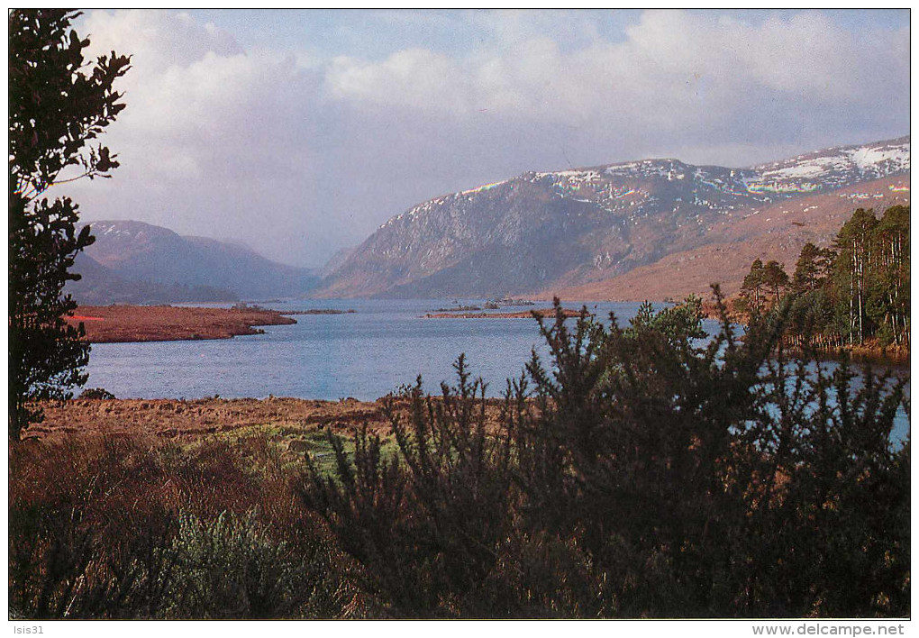 Irlande - Donegal - Glenveagh National Park - Lough Veagh In Winter - Semi Moderne Grand Format - état - Donegal