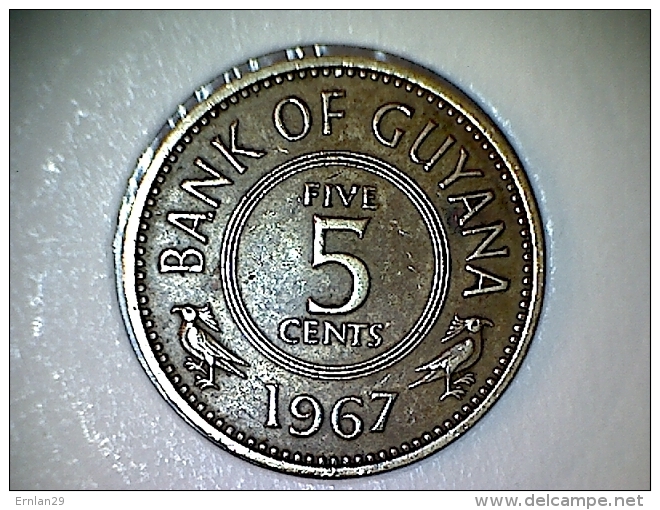 Guyana 5 Cents 1967 - Guyana