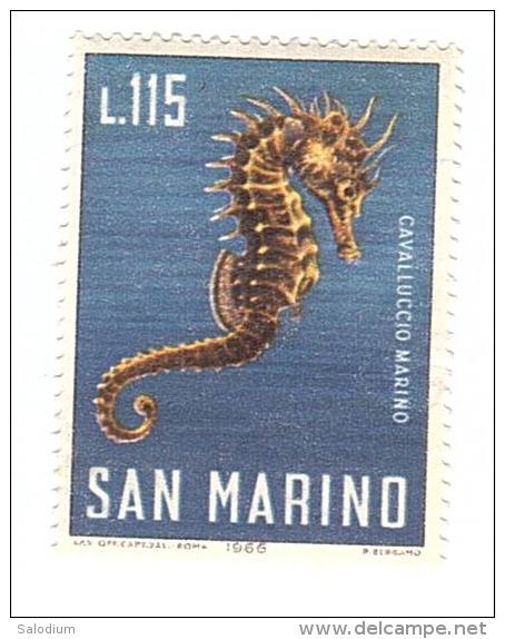 F267 - Cavalluccio Marino Seahorse - Pesce Fish - Francobollo Nuovo - Repubblica Di San Marino - Ungebraucht