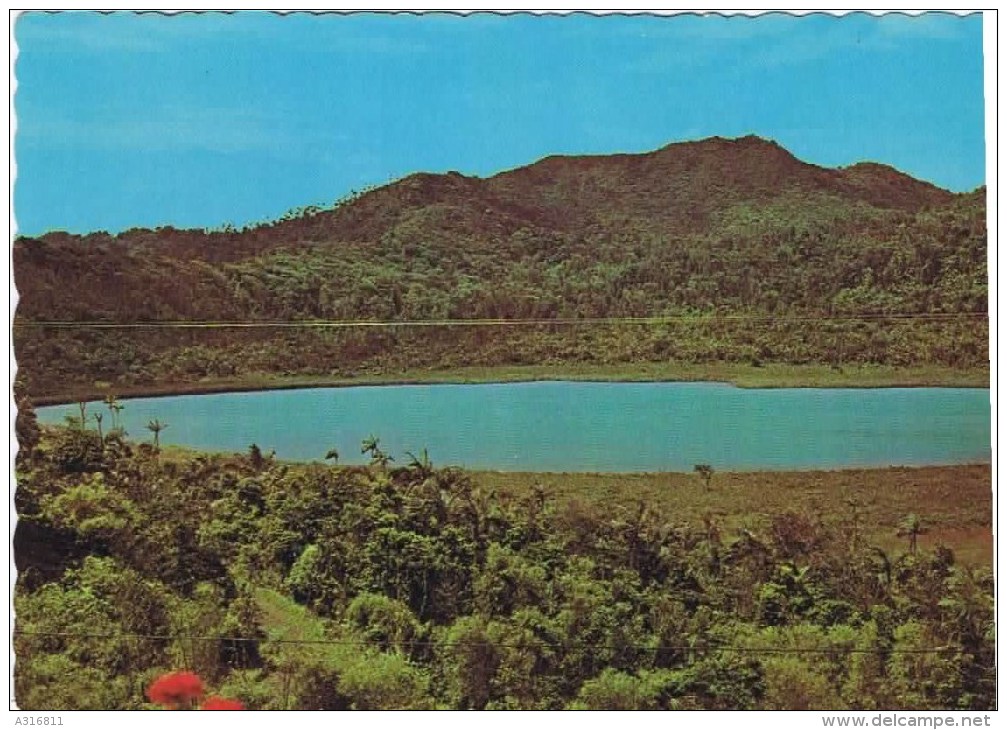 Cpm  GRAND ETANG CRATER LAKE In The Center Of The Island - Grenada