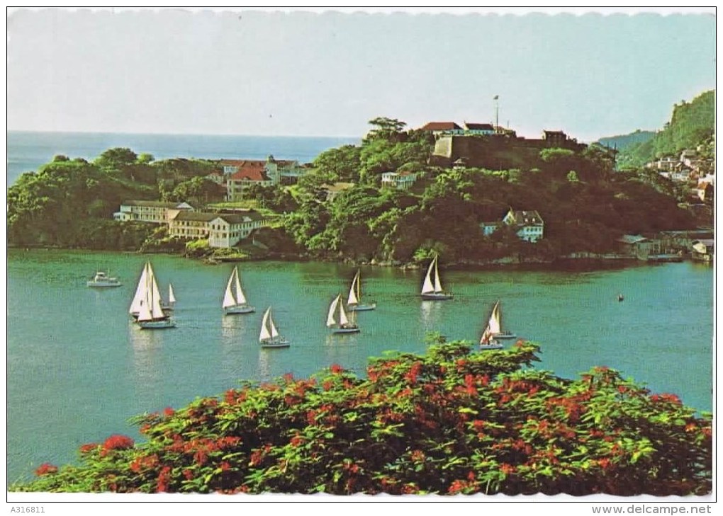 Cpm   YACHTING IN ALL ITS SPLEDOR IN BEAUTIFUL  GRENADA - Grenada