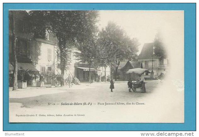 CPA 12 Marchand Ambulant Marchand De Glaces Place Jeanne D'Albret, Dite Du Closon SALIES DE BEARN 64 - Salies De Bearn