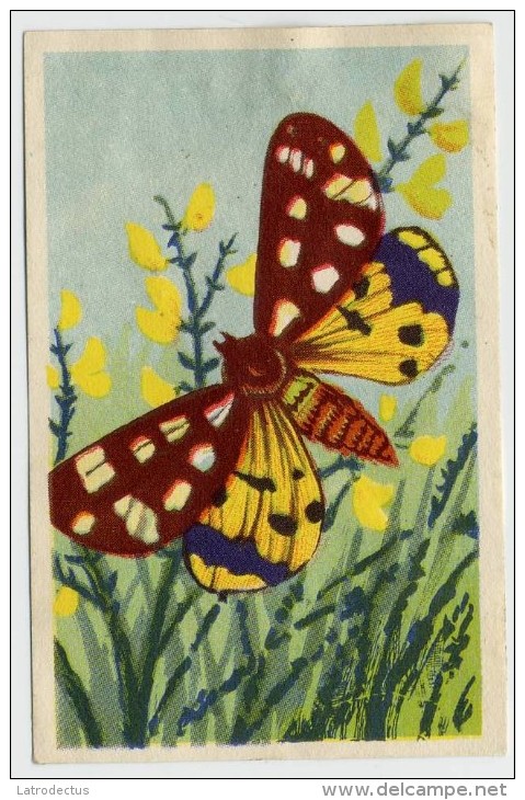 Aiglon - Papillons, Vlinders, Butterflies - 330 - La Fermière, De Pachteres - Aiglon