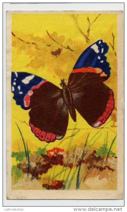 Aiglon - Papillons, Vlinders, Butterflies - 336 - Vulcain - Aiglon