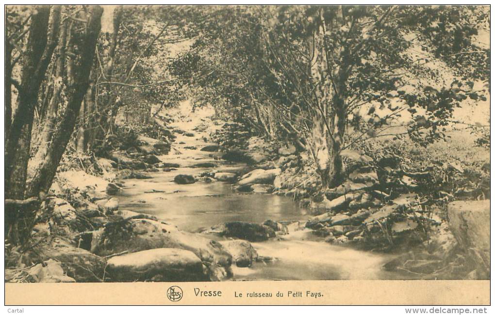 VRESSE - Le Ruisseau Du Petit Fays - Vresse-sur-Semois