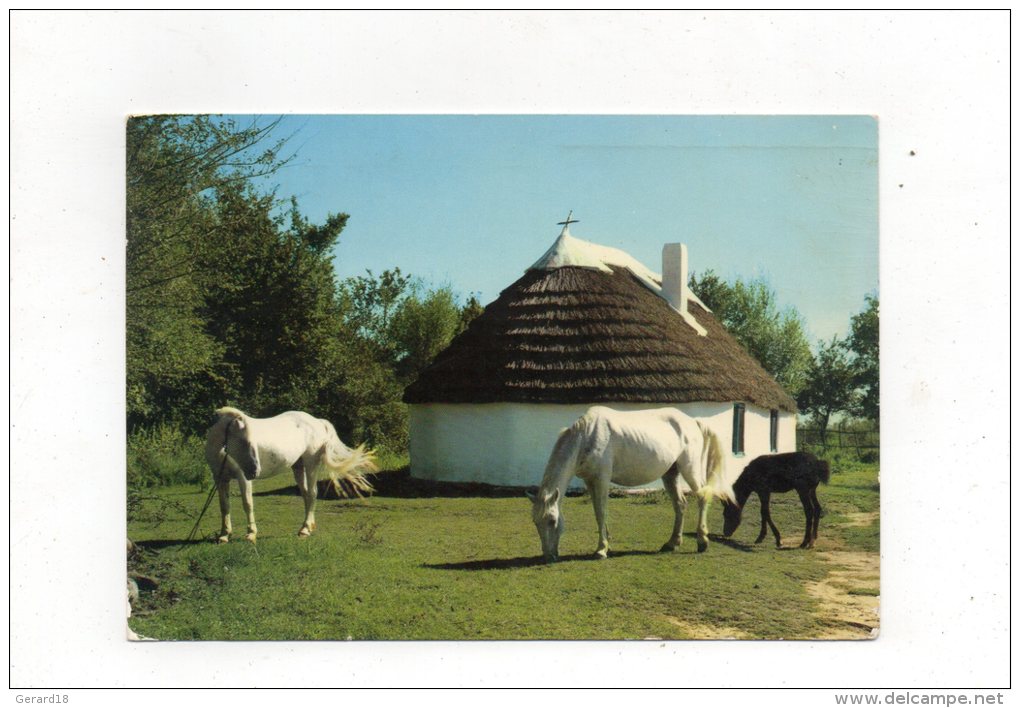 (13) La Camargue-Cabane De Gardian Chevaux 1967 - Autres & Non Classés