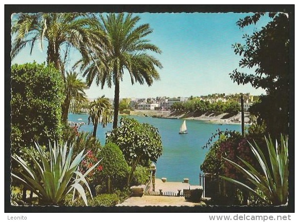 ASWAN Egypt Vue Du Nil 1969 - Aswan