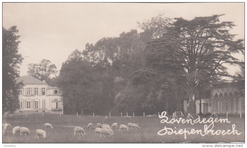 Zwarte Fotokaart Kasteel Diepenbroeck Te Lovendegem 1929 - Lovendegem