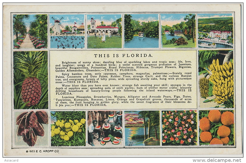 This Is Florida Fruits Orange Banana Pineapple Golf  Windmill Moulin A Vent Envoi A Longny Orne 1926 - Autres & Non Classés