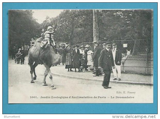 CPA 1001 Jardin Zoologique D'Acclimatation De PARIS - Le Dromadaire (XVIème) - Distretto: 16