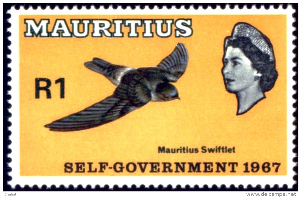 BIRDS-MAURITIUS SWIFTLET-1967 -VF NEVER HINGED OG -MNH-SCARCE-B8-46 - Piciformes (pájaros Carpinteros)