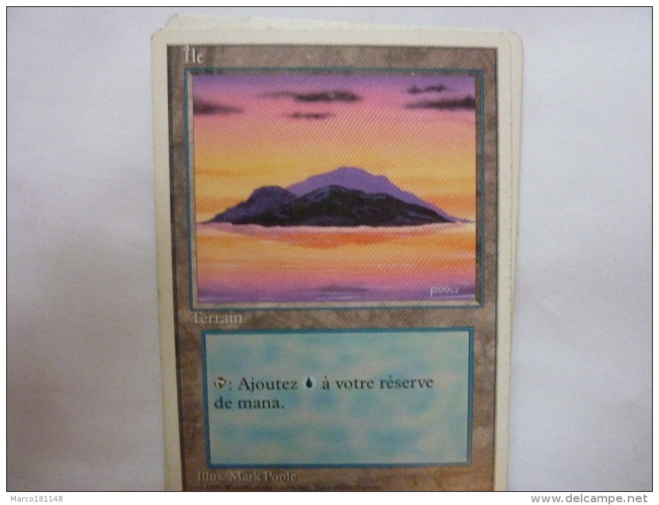 Magic The Gathering Ile Terrain - Autres & Non Classés