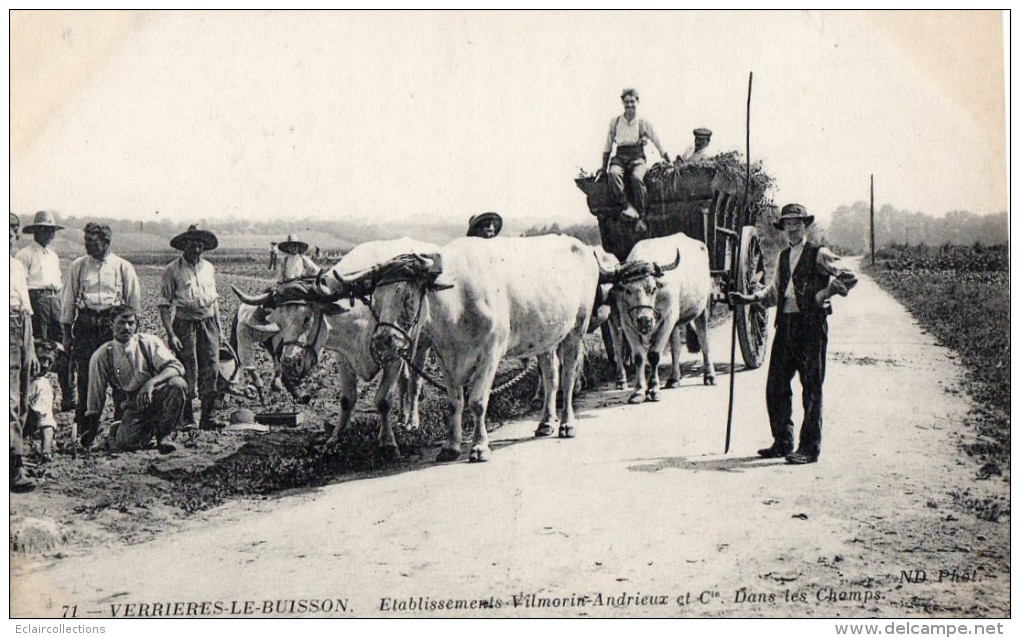 Verrières Le Buisson     91    Ets Vilmorin Andrieux   Attelage De Boeufs      (ref:049) - Verrieres Le Buisson