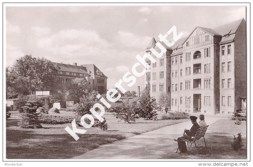 Prenzlau  1961, Am Stadtpark   (z2844) - Prenzlau