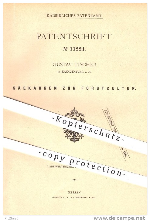 Original Patent - Gustav Tischer In Brandenburg A. H. , 1880 , Säekarren Zur Forstkultur , Forst , Saat , Aussaat , Säen - Historische Dokumente
