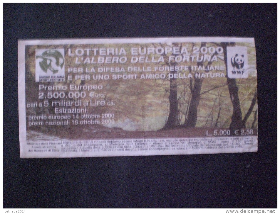 BIGLIETTO LOTTERIA  NAZIONALE EUROPEA 2000 - Loterijbiljetten