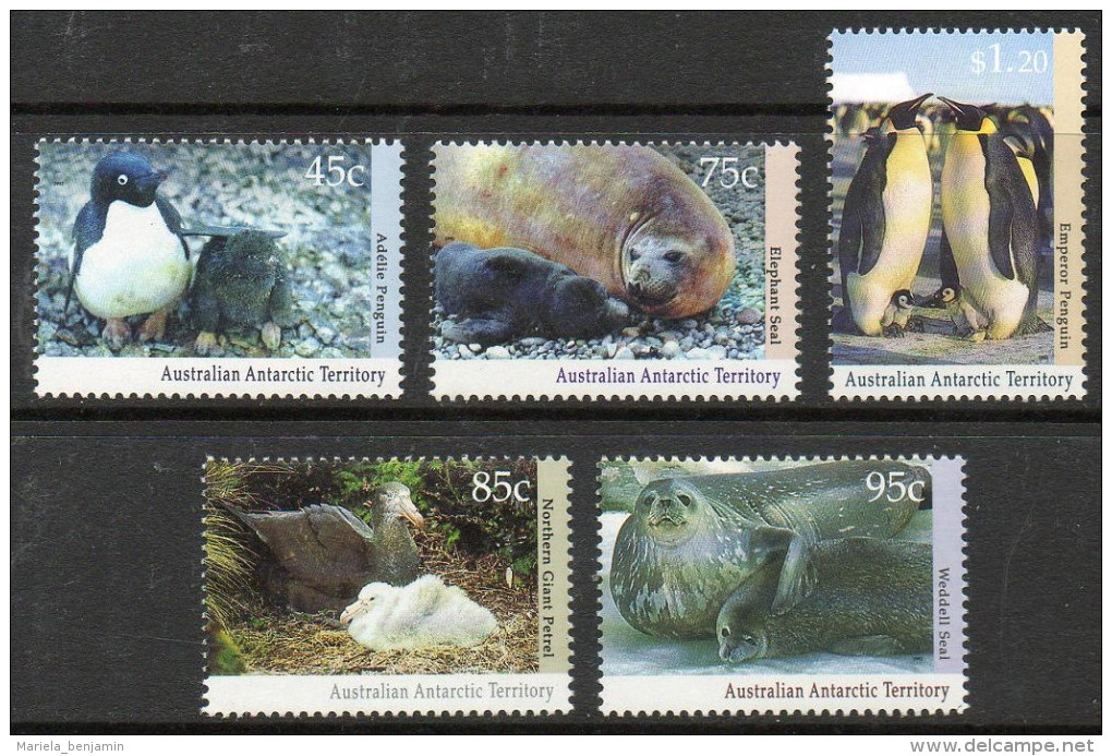 Australian Antarctic AAT 90/94 ** Faune Antarctique (machots, Phoques) - Unused Stamps