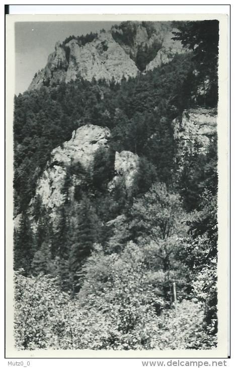 AK 0197  Arzberg - Partie In Der Raabklamm Um 1958 - Weiz