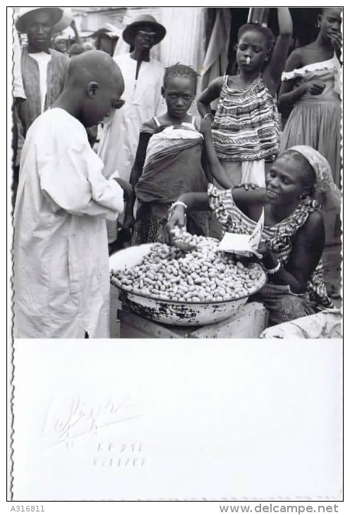 Cpsm  Vente Sur Le Marché Belle Attelage - Burkina Faso