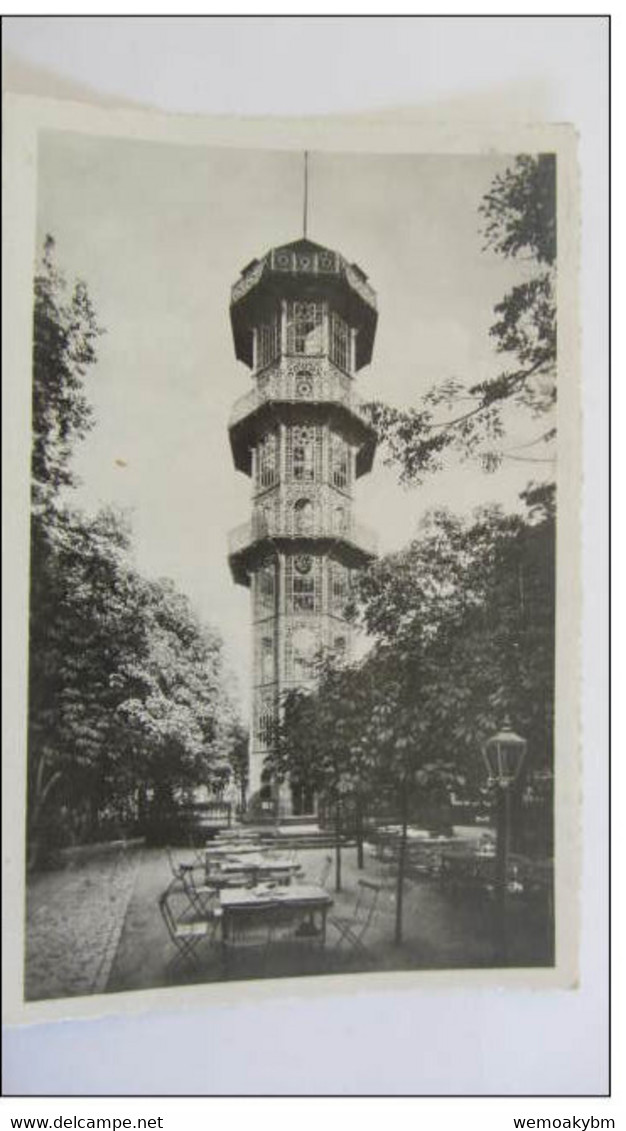 AK Löbau In Sachsen Mit Aussichtsturm Auf Dem Löbauer Berg Vom 24.7.53 - Loebau