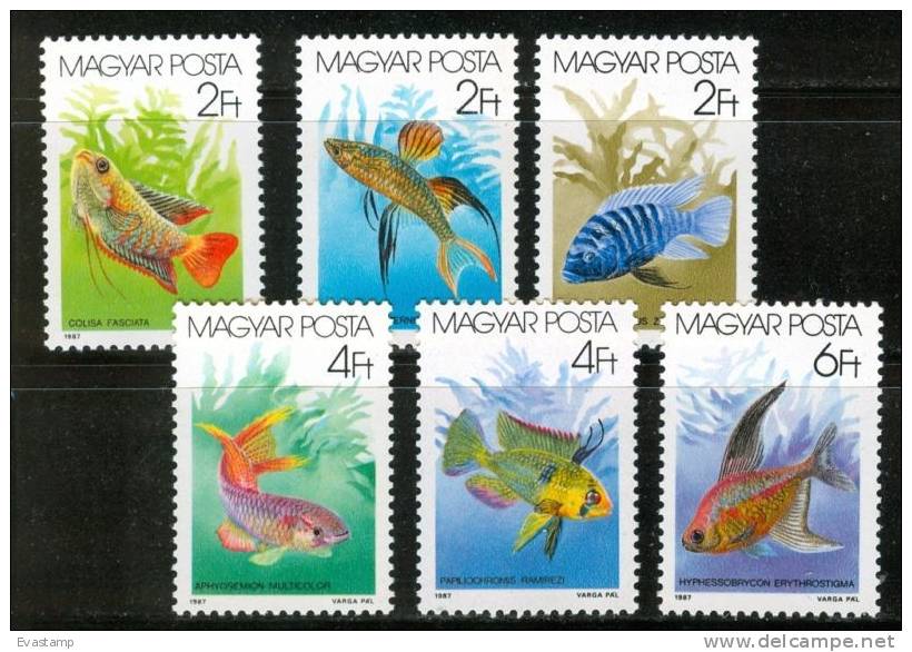 HUNGARY-1987. Fishes Cpl.Set MNH!! - Unused Stamps