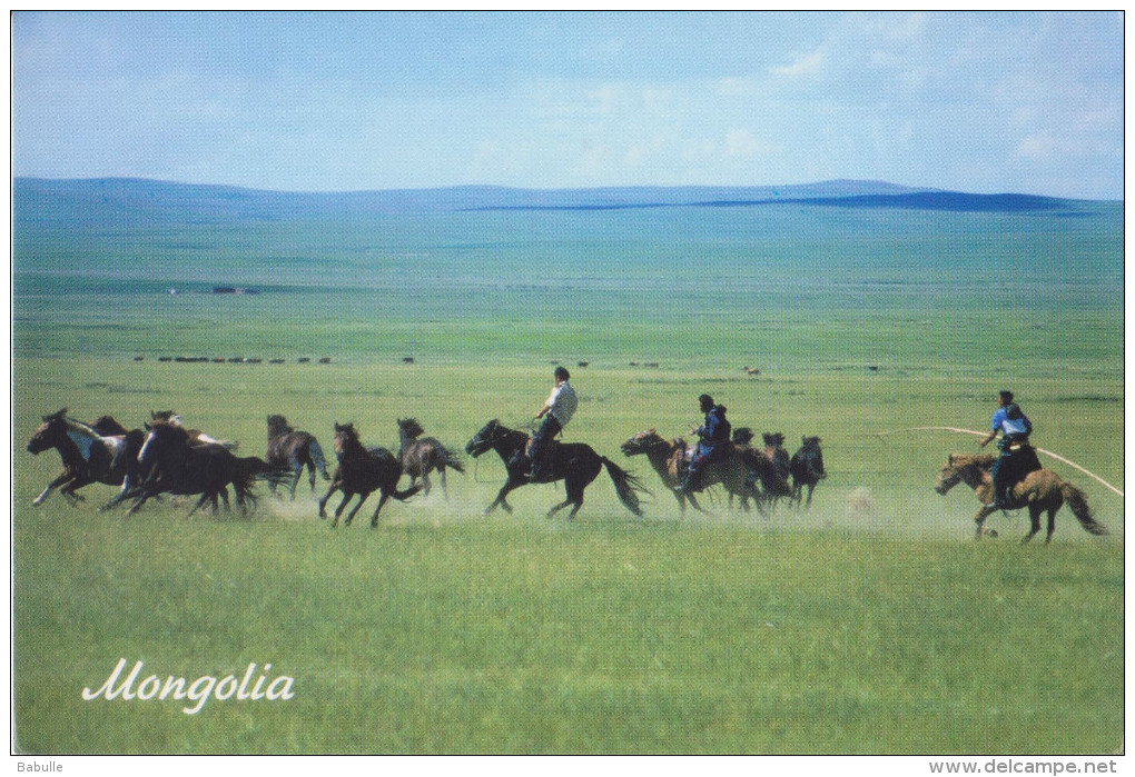 Mongolia - Horsemen - Mongolie