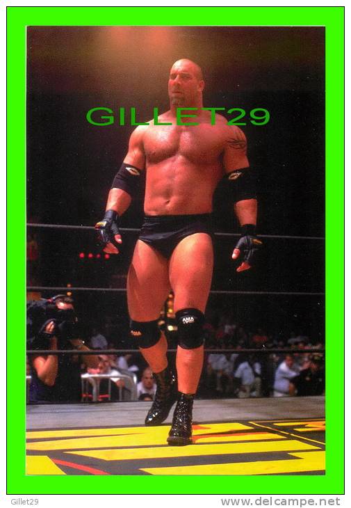 SPORTS, WRESTLING - LUTTE - CATCH - GOLDBERG - WCW/NWO - 1998 SUPERSTARS - No 14  - - Ringen