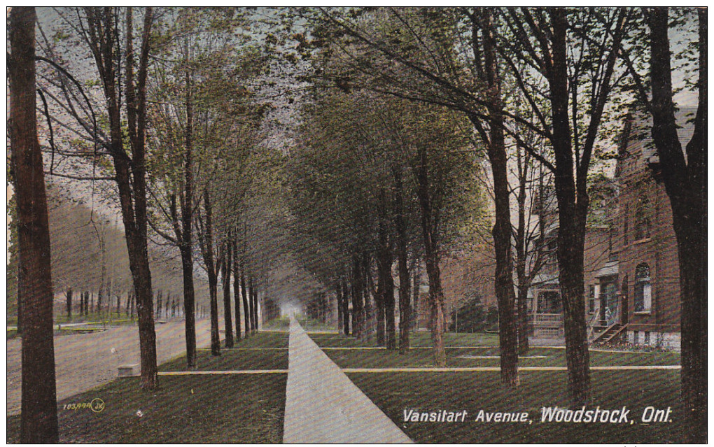 WOODSTOCK, Ontario, Canada; Vansitart Avenue, Tree-lined Sidewalk, 00-10s - Other & Unclassified