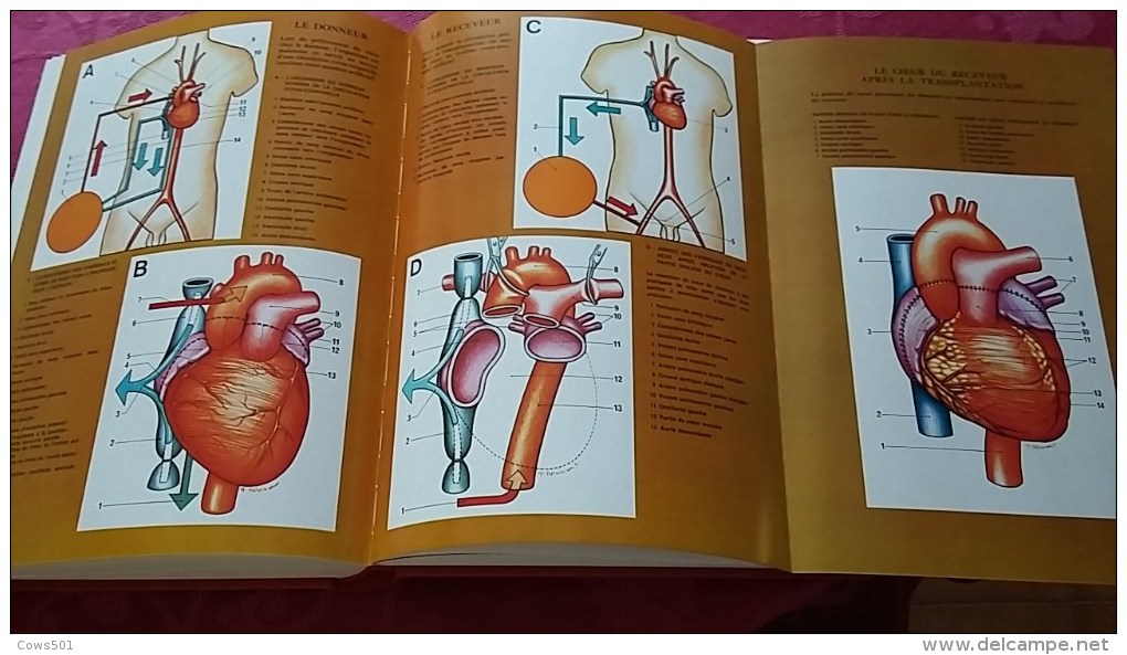 Livres ,Encyclopédie :Le Médical Euro- Comptoirs ;7 Volumes De 1976 - Encyclopédies