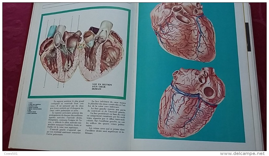 Livres ,Encyclopédie :Le Médical Euro- Comptoirs ;7 Volumes De 1976 - Encyclopédies