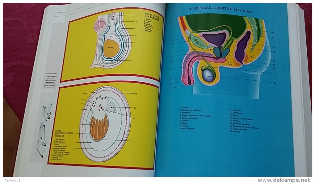 Livres ,Encyclopédie :Le Médical Euro- Comptoirs ;7 volumes de 1976