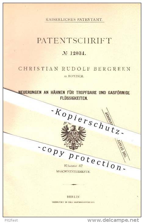 Original Patent - Christian Rudolf Bergreen In Roitzsch , 1880 , Wasserhahn , Hahn , Hähne , Sandersdorf-Brehna - Wolfen