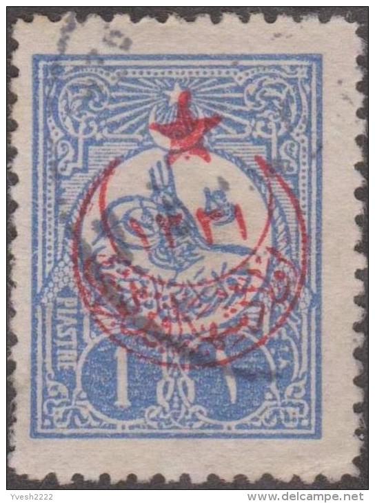 Turquie 1915, petit lot de timbres surchargés, neufs et oblitérés