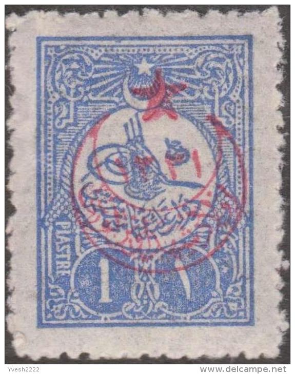 Turquie 1915, petit lot de timbres surchargés, neufs et oblitérés