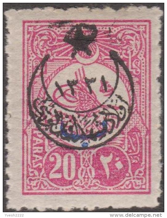 Turquie 1915, petit lot de timbres surchargés, neufs et oblitérés