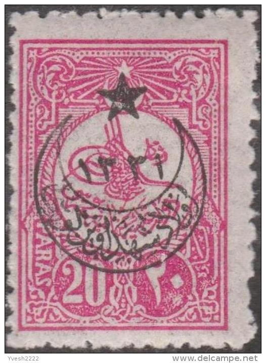 Turquie 1915, petit lot de timbres surchargés, neufs et oblitérés