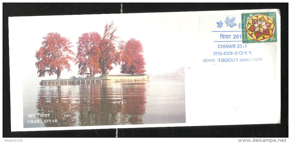 INDIA, 2011, SPECIAL COVER,  Char Chinar,  Four Chinar TreesGreetings Stamp, Srinagar  Cancelled - Lettres & Documents