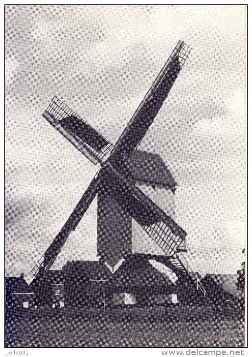 Geel Molen Elsum - Geel