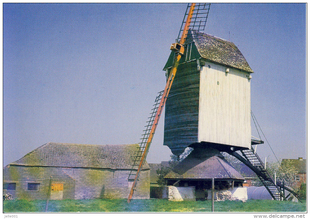 Geel Molen Van Elsum - Geel