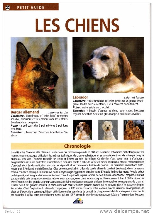 1 PETIT GUIDE NEUF LES CHIENS CHRONOLOGIE FOX-TERRIER SETTER ANGLAIS ROTTWEILER... LIVRET N° 22 EDITIONS AEDIS 8 PAGES - Animaux