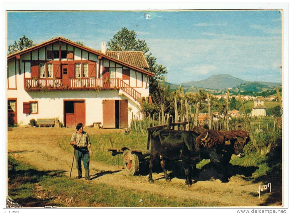 ESPELETTE - Vue Générale, Dans Le Lointain La Rhune - Yvon 11096 - Non Circulée - Trou De Punaise - - Espelette