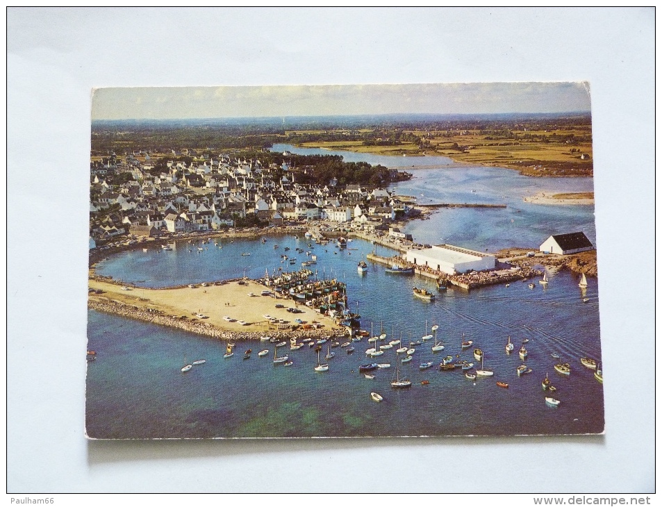 RENTREE DE PECHE AU PORT DE LESCONIL - Plobannalec-Lesconil