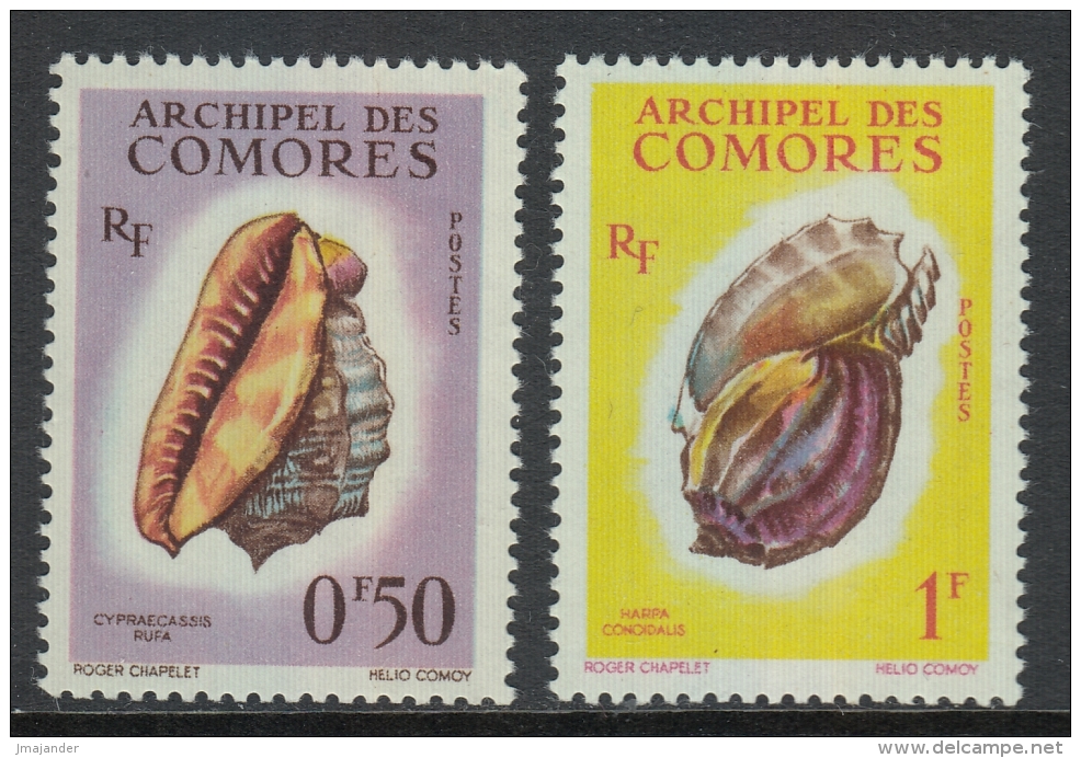 Comoro Islands 1962 Definitives: Sea Snails. Part Set Low Values 42-43 MNH - Unused Stamps