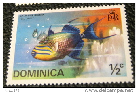 Dominica 1975 Fish Balistes Bursa 0.5c - Mint - Dominica (...-1978)