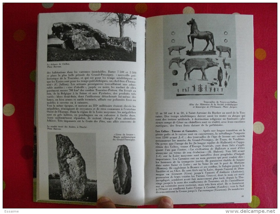 Orléanais Touraine. Horizons De France. Nouvelles Provinciales. 1963. Nombreuses Photos. Histoire Art Géographie Humaine - Centre - Val De Loire