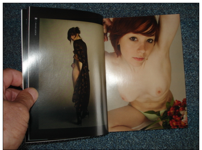 Tres Beau Livre " Photograhie Erotique " 448 Pages Que Des Belles Photos Erotiques Et Nues - Photographie